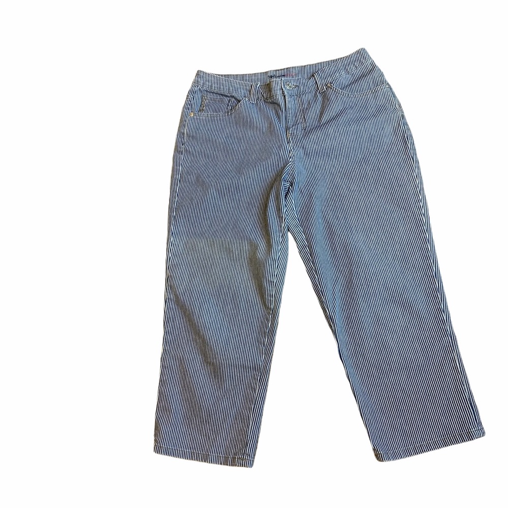 Style & Co Denim Blue/White Striped Mom Jeans| 8